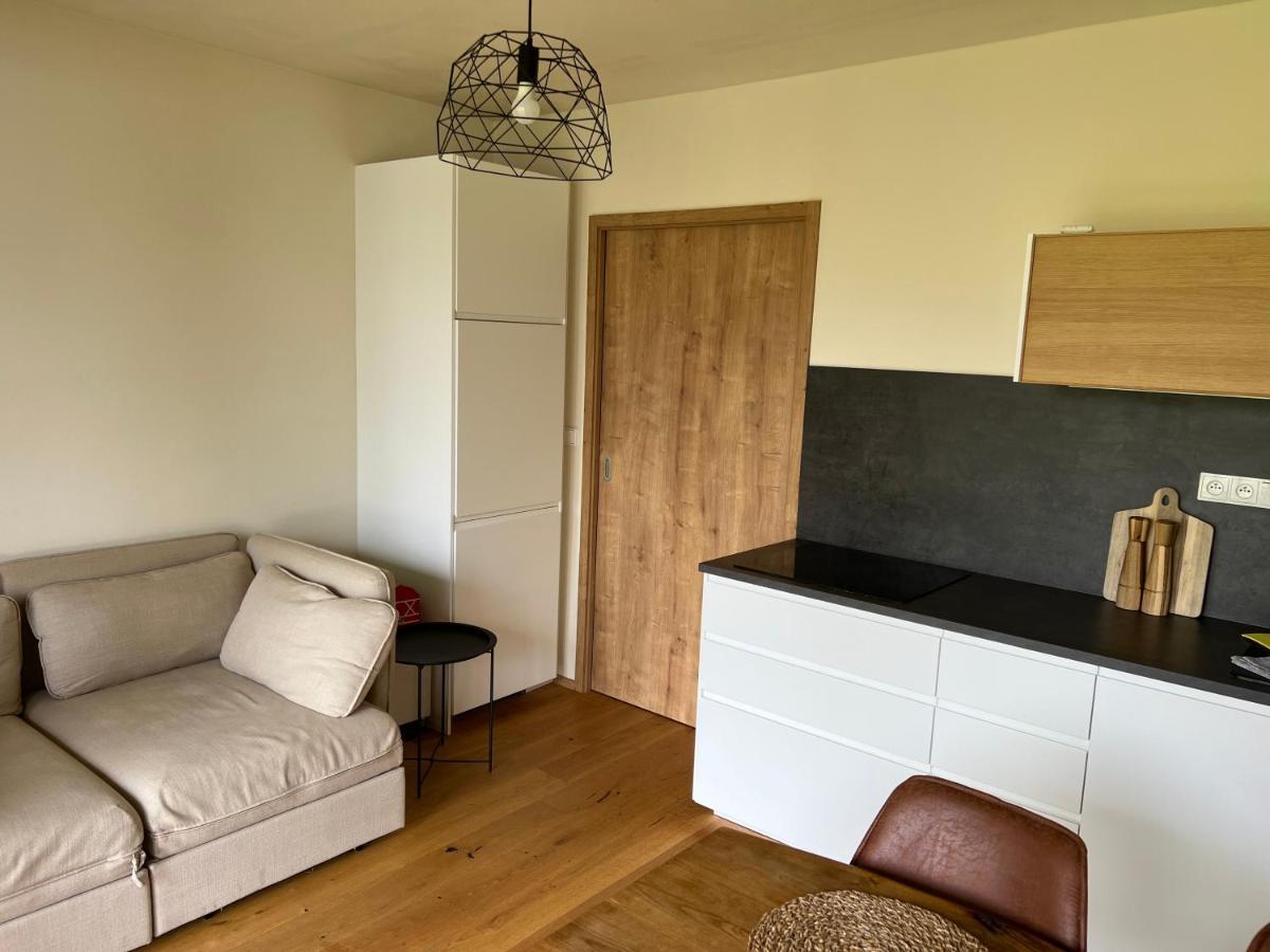 Apartman Boruvka Železná Ruda Eksteriør billede